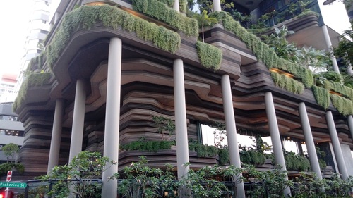 Elewacja pokryta zielenią - nowy ekologiczny trend w architekturze